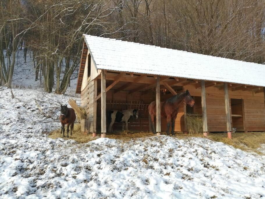 Oddychovy Pobyt Na Rodinnej Farme Matiaska Экстерьер фото