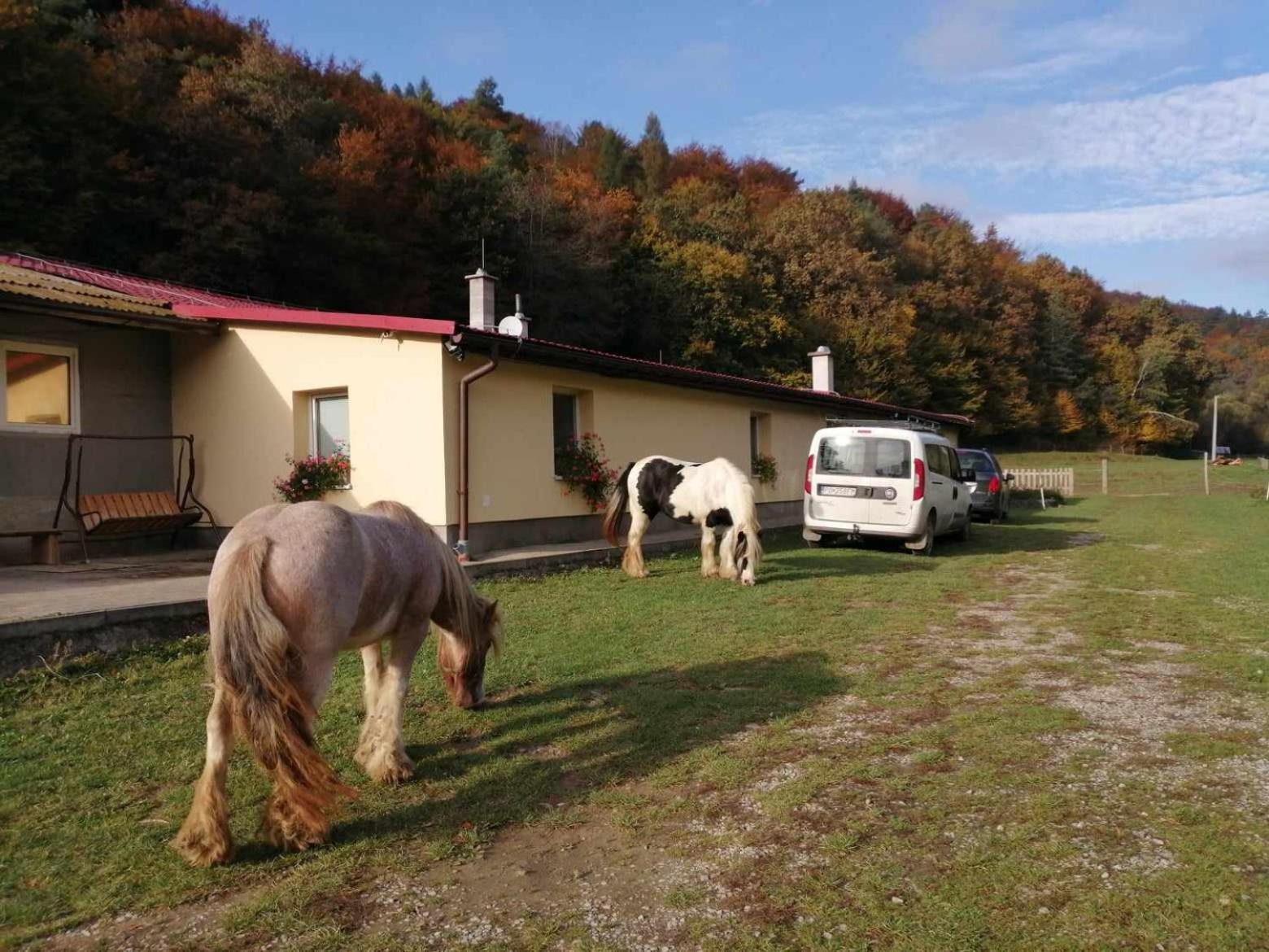 Oddychovy Pobyt Na Rodinnej Farme Matiaska Экстерьер фото